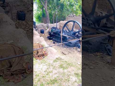 Animal Chara Cutting Machine On 30Hp Old Black Engine #engine #shorts #shortsfeed