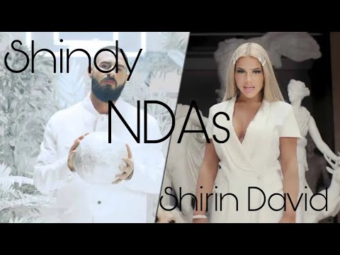 Shirin David - NDAs ( feat. Shindy ) [lyrics]