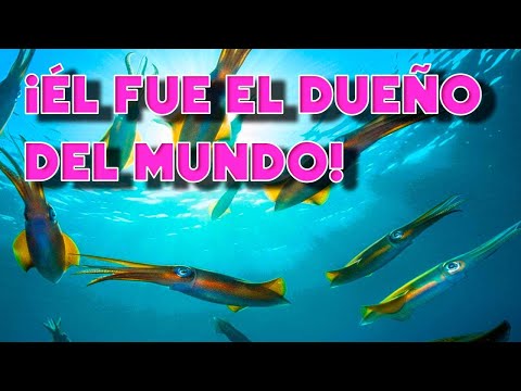 Cuando los calamares dominaban el mundo