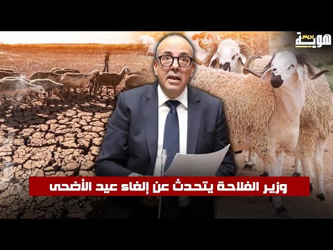 وزير الفلاحة يتحدث عن إلغاء عيد الأضحى