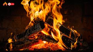 Silent Fireplace🔥The Perfect Quiet Space for the Thoughtful