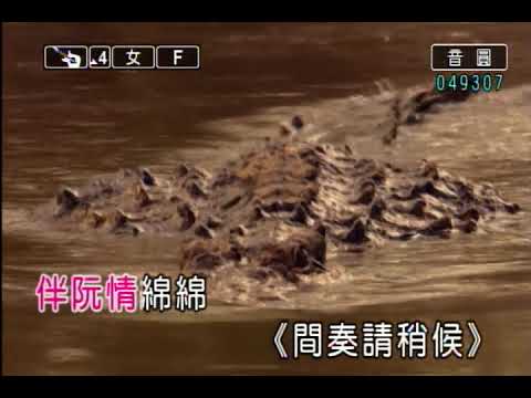 港都情綿綿 鄭柔芳