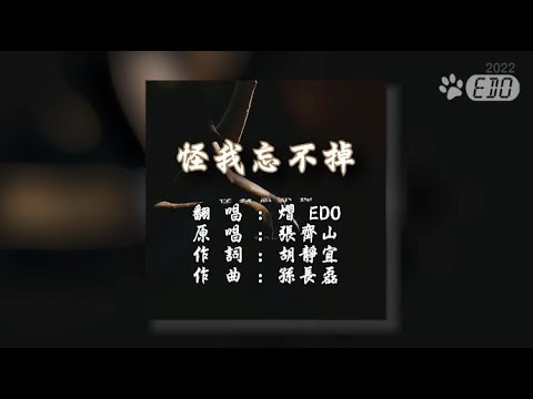 【Cover】張齊山-怪我忘不掉(1080 HD)【EDO翻唱】【KTV導唱字幕】