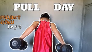 PULL DAY - BACK & BICEPS