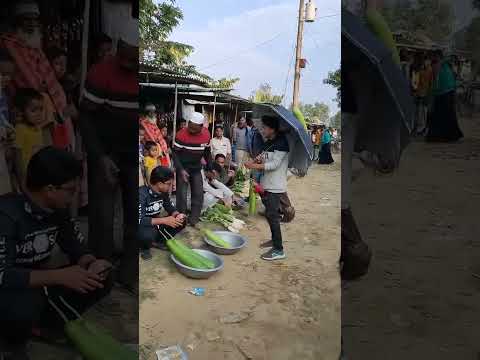 ছাতা দিয়ে লাউ নেয়। #trendingvideo #shortvideo #vairalshort #majarul