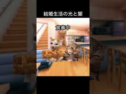 最近の流行りで人生を再現してみた 10.5 #結婚 #実話 #意味がわかると怖い話 #離婚 #結婚生活 #猫ミーム #ミーム #猫 #かわいい猫 #伸びろ #社会人 #猫マニ