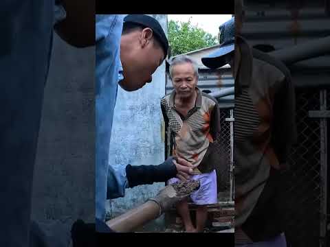 Bắt Con Rắn Độc Cố Thủ Dưới Nền Xi Măng