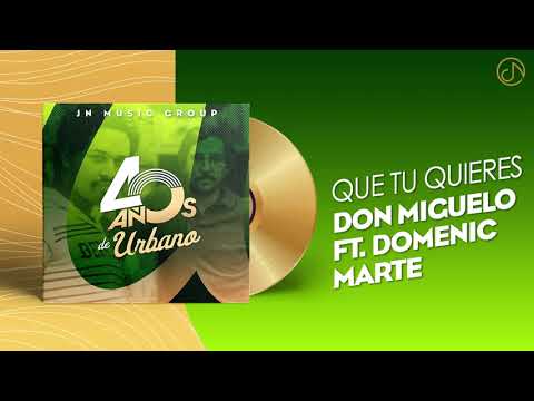 Que Tu QUIERES 💕 - Don Miguelo Ft. Domenic Marte [Audio Cover] 🥳 #40