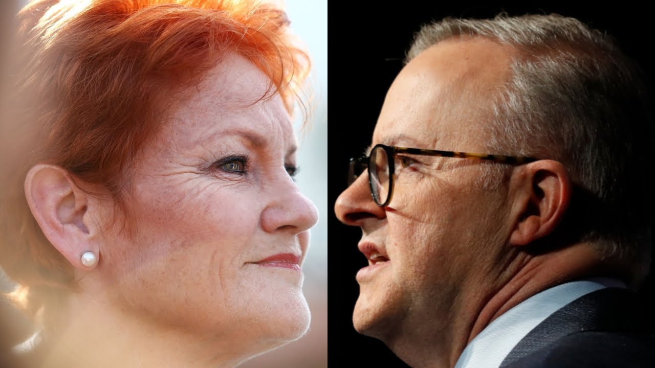 Stand up Albo’: Anthony Albanese ‘disgusts me’ says Pauline Hanson