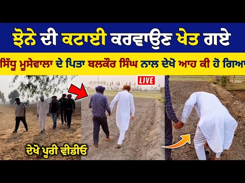 ਅੱਜ Sidhu Moose Wala ਦੇ ਪਿਤਾ Balkaur Singh ਨਾਲ ਖੇਤਾਂ ਚ ਝੋਨੇ ਦੀ ਕਟਾਈ ਕਰਵਾਉਂਦੇ ਸਮੇਂ ਦੇਖੋ ਕੀ ਹੋਇਆ