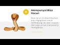 Special Characteristics of Animals and Plants
