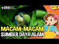 Kuis Sumber Daya Alam