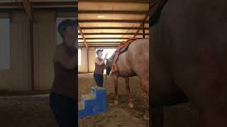 Stephanie and Kennedy’s morning routine! #katievanslyke #horses