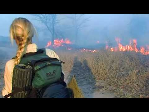 Africa Trek : la traversée du Zimbabwe