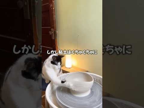 猫の陶芸家😳