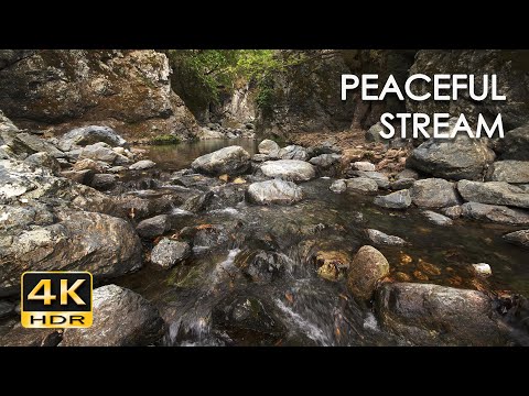 4K HDR Peaceful Stream - Relaxing River Sounds for Sleeping - ASMR - No Birds - Calming Water Flow