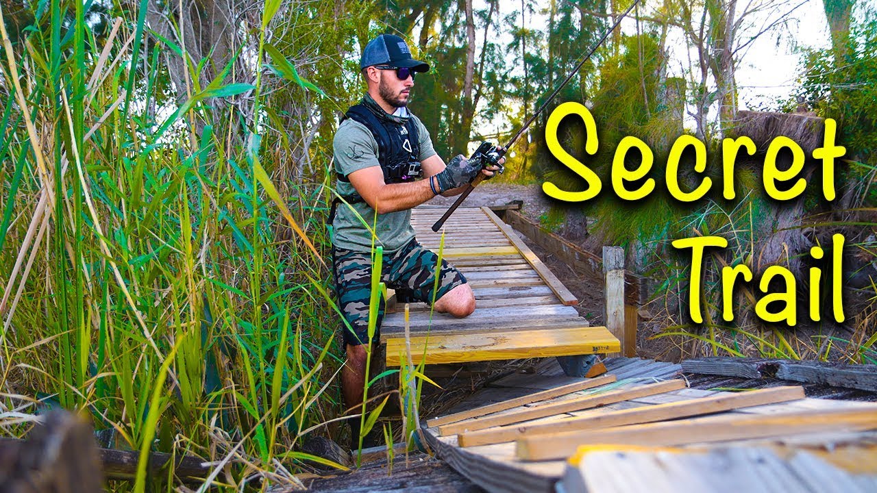 Fishing a Secret Trail in the Florida Everglades! (Giant Alligator)