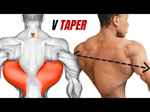 TOP 5 LAT MIDDLE BACK AND TRAPS WORKOUT WITH BARBELL ONLY  AT HOME OR GYM