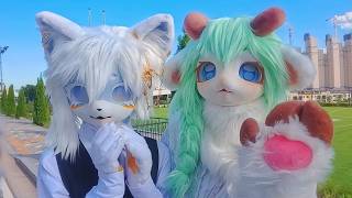 [퍼:레이드/Fur:Raid] 새로운 국내 퍼리 행사에 다녀왔습니다! // Vlog
