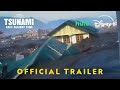 Understanding the 2004 Indian Ocean Tsunami