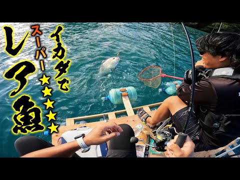 【後編】レア魚連発！【ハイサイ史上 最強のイカダ】釣りをしたら、釣れ過ぎて大変なことになりました。【神回】