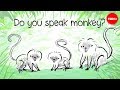 Understanding Shakira's Communication