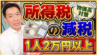 【所得税の減税: 1人2万円以上!!】20代～シニアの方まで必見!!/ 物価高対策/ 給与収入に応じた1人当たりの減税額/ 所得税が非課税となる給与収入/ 詐欺注意 等 ≪25年8月時点≫
