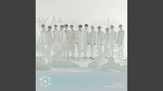 SEVENTEEN - Power of Love