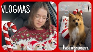 VLOGMAS 18&19&20/ Ostatnie zaliczenia na studiach przed świętami