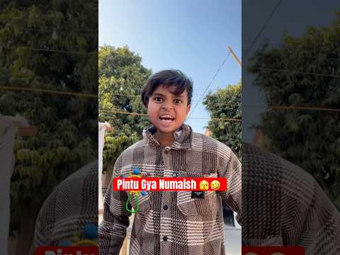 Pintu gya Numaish🥹🤣 #shorts #trending
