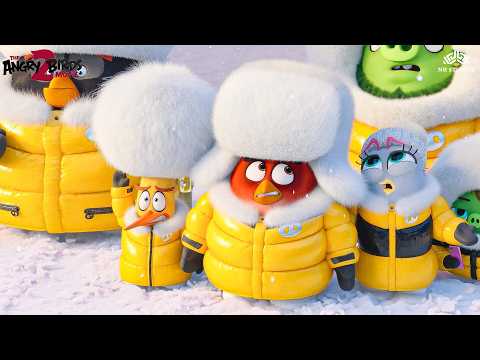 Angry Birds & Pigs Plan Attack on Eagle Island! 🏝️🐦🐷 | Epic Scene | The Angry Birds 2