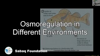 Osmoregulation in Different Environments