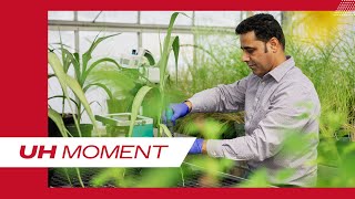 New at UH: Caracol Discovery Ranking, Addiction Lab Grant, Melatonin Plant Study