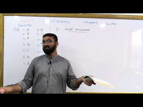 Exercise chapter 3