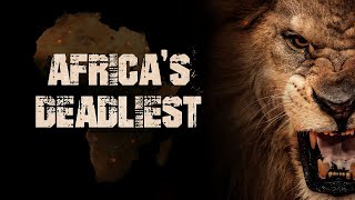 Africa’s Deadliest: Nature’s Ultimate Predators Unleashed