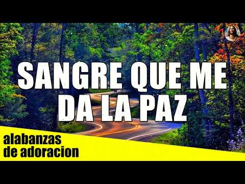 Sangre Que Me Da La Paz ✟ Musica Cristiana de Adoracion - Alabanzas Cristianas - Himnos y Coros 2024