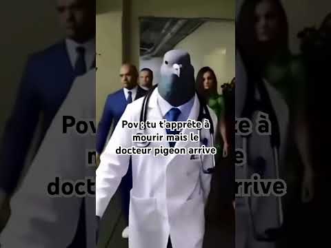 Merci à lui … quel hero 🥹🐦