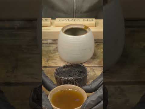 Which Primitive Glue Is Best? #1: Caveman Glue #shorts #diy #history