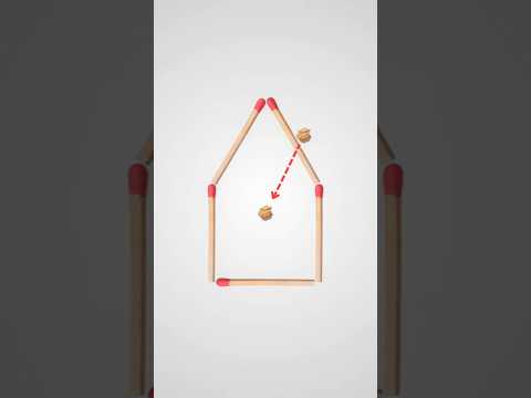 Coloque a bola dentro da casa!