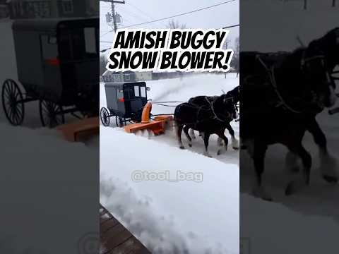 Amish buggy with a snow blower! #snow #amish #cool
