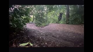 Shreddin Sutton Park’s #badgerlines and four oaks Bomb Hole resurrection