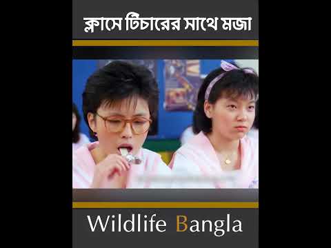 ক্লাসে স্যারকে বোকা বানাতে গিয়ে ছাত্ররা ধরা #wildlife bangla