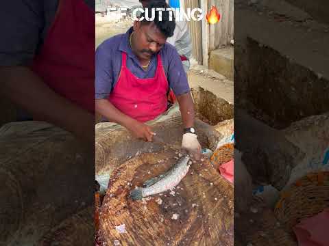 KASIMEDU 🔥 SPEED SELVAM LIVE VIRAL FISH CUTTING VIDEO #kasimeduselvam #fishcutting #youtubeshorts