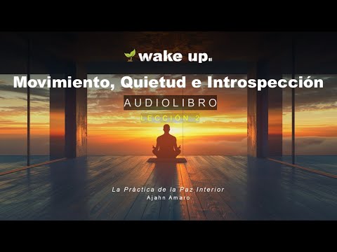 Movimiento, Quietud e Introspección en la Meditación