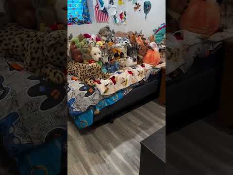 Wenn der Vermieter vorbei kommt Und Hunde nicht erlaubt sind...😂 Hund Hunde Tiere Memes Meme