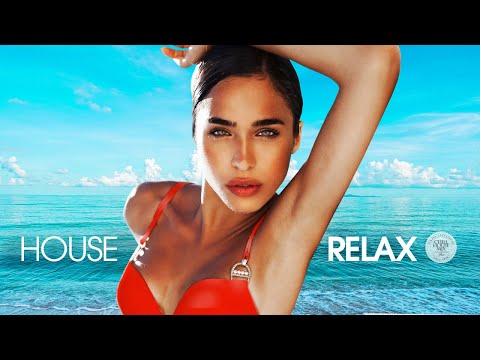 House Relax 2024 (Chill Lounge Deep Mix 263)