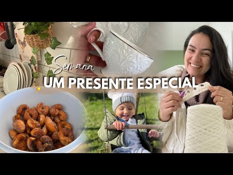 VLOG ☃️ O INVERNO MAIS FRIO DE SC - rosquinhas fritas e rotina diária