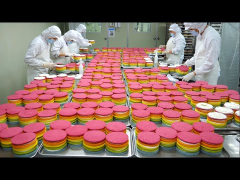 카카오톡 선물로 대박난 레인보우 케잌의 압도적인 대량생산 현장 / Amazing! fantastic Rainbow Cake / Korean food factory