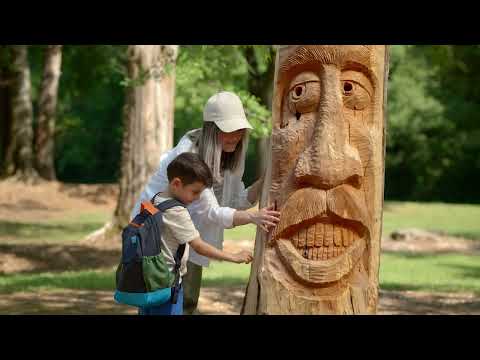 Take It All In Culture & Visual Arts