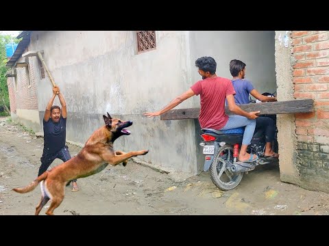 Must Watch New Funny Comedy Video 2021 TRY TO NOT LAUGH | Bindas Fun Masti